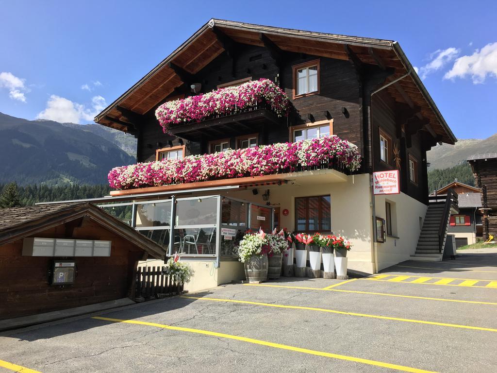 Hotel Haus Muehlebach Ernen Buitenkant foto